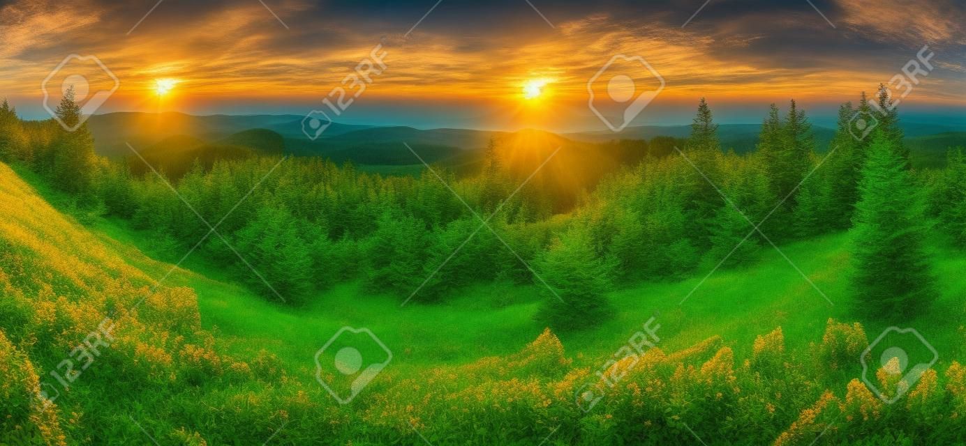 Świerk lasu zielony krajobraz górski panorama słońca, Słowacja.
