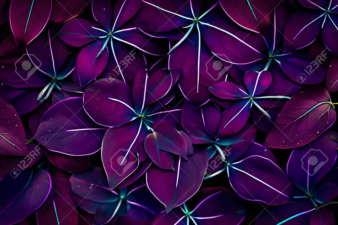 Ultra Violet background effect made of fresh leaves