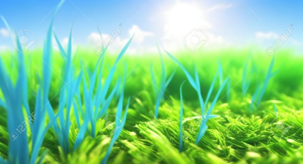 low angle view of fresh grass against blue sky with clouds. freedom and renewal concept