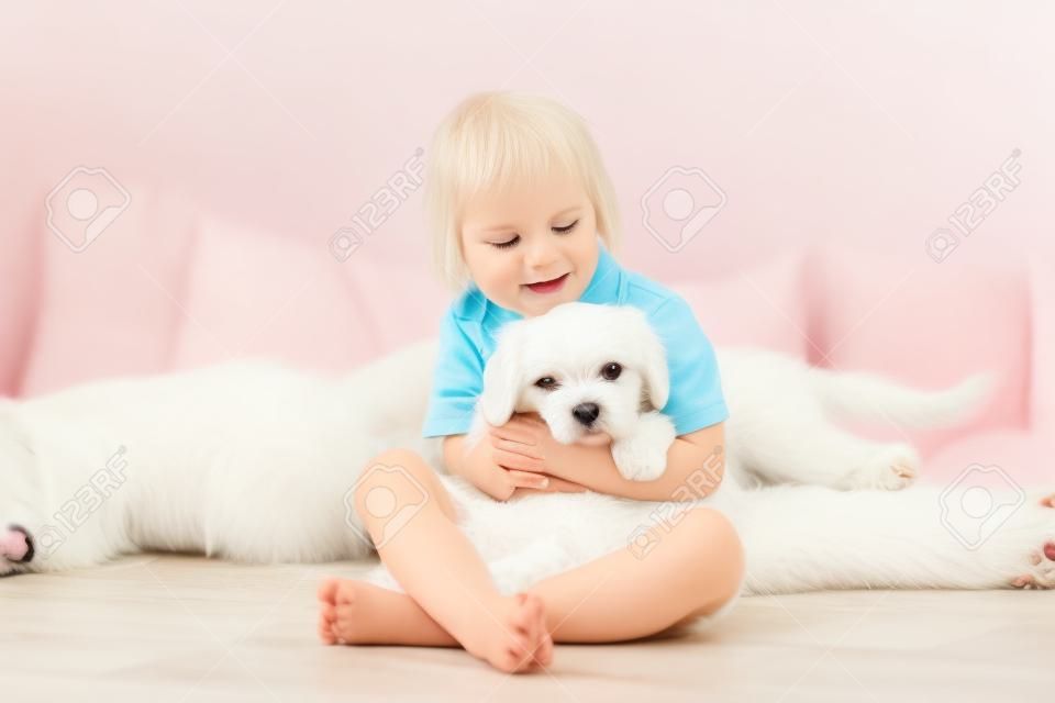 Cute little blond child, toddler boy, reading book with white puppy maltese dog at home