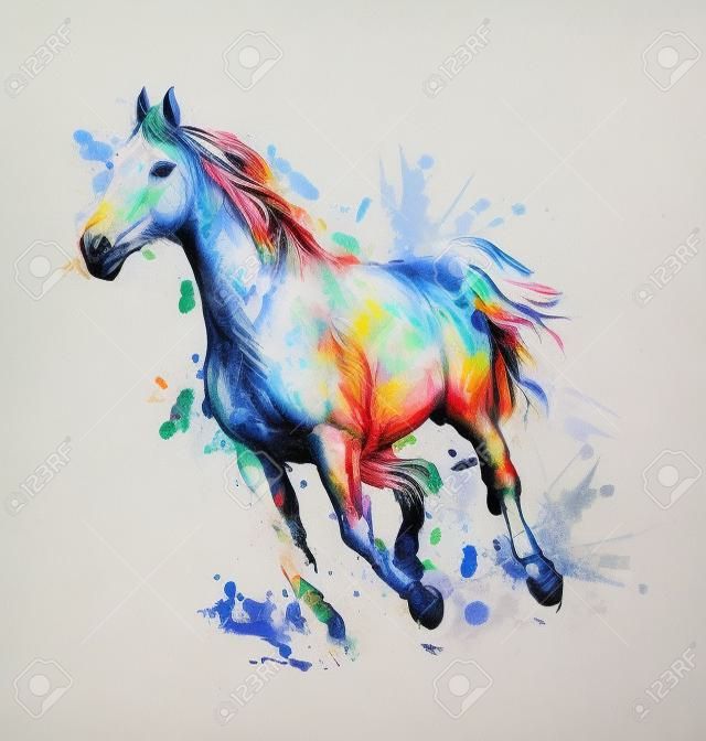 Colored Hand drawing horse.