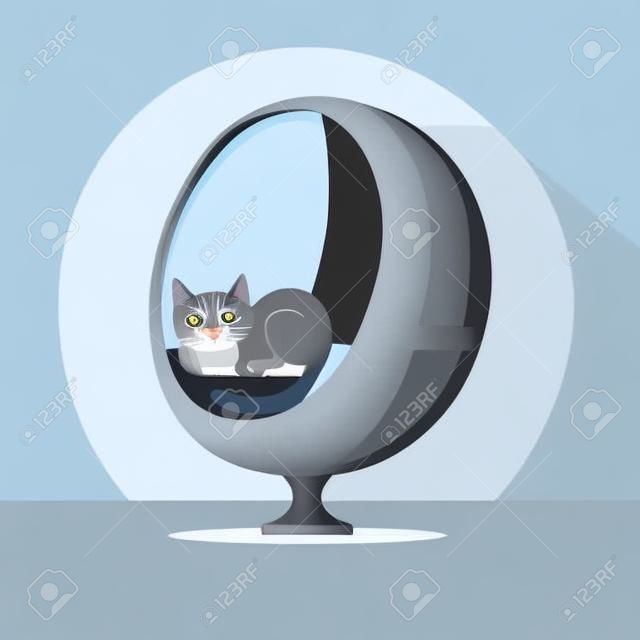 Lovely grey cat sleeping on a modern ball chair home pet resting vector Illustration