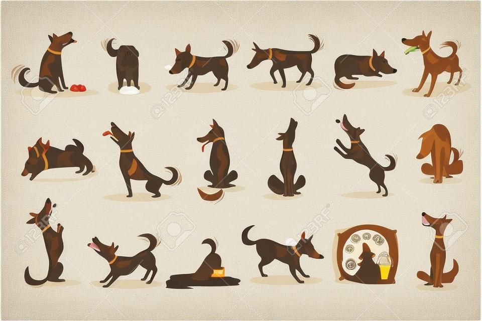 Brown Dog conjunto de actividades cotidianas normales. Conjunto de ilustraciones clásicas del comportamiento del perro casero en estilo lindo del cartón aislado en el fondo blanco.