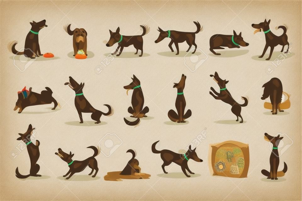 Brauner Hund mit normalen Alltagsaktivitäten. Set von klassischen Haustier-Hunde-Verhaltens-Illustrationen im niedlichen Karton-Stil, isoliert auf weißem Hintergrund.
