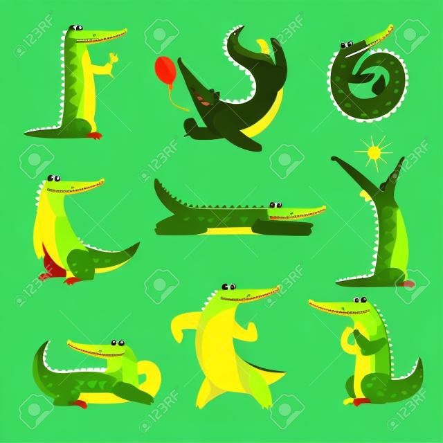 Przyjazny krokodyl w różnych pozach zestaw, zabawny drapieżnik charakter kreskówka wektor ilustracja na białym tle.