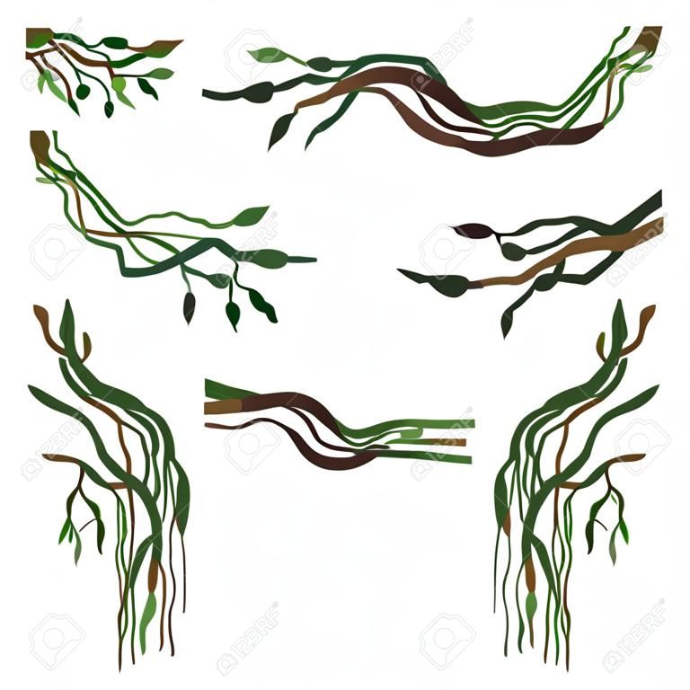 Tropical Winding Liana Branches Set, Jungle Plants Decorative Elements, Rainforest Flora Vector Illustration