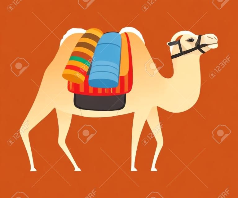 굴레와 안장이 있는 낙타, 하중이 있는 사막 동물, 흰색 배경에 측면 보기 벡터 삽화.