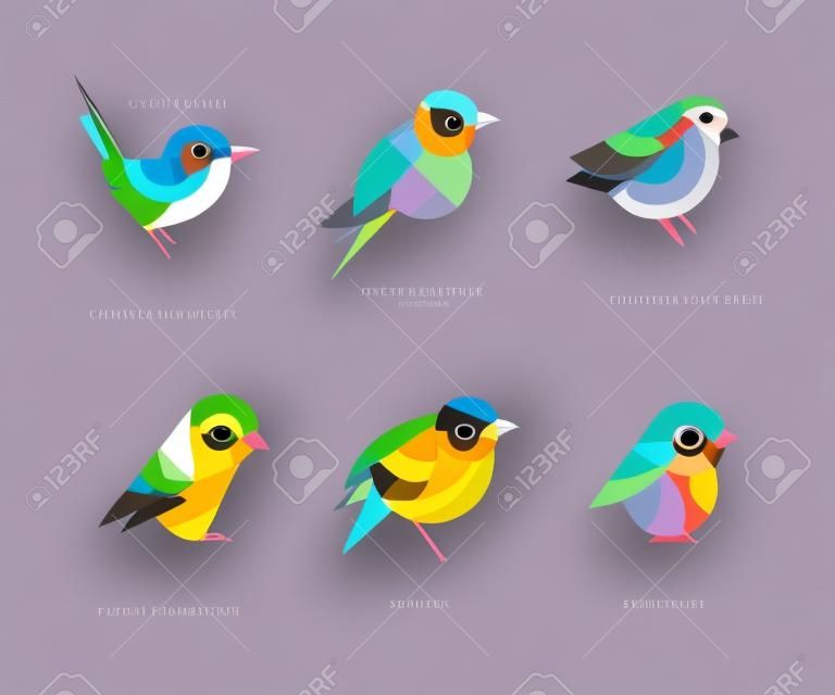 Colorful Stylized Birds Collection with Superb Fairy Wren, Lilac-breasted Roller, Common Chaffinch, Sparrow, Great Tit and Bullfinch Vector Set