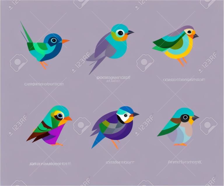 Colorida colección de pájaros estilizados con soberbia hada wren, rodillo de pecho lila, pinzón común, gorrión, gran tit y bullfinch conjunto de vectores