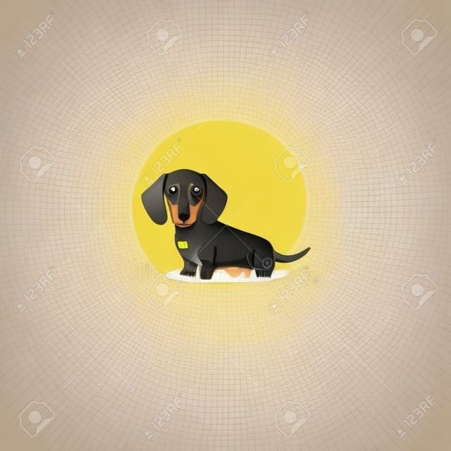 Cute dachshund dog sitting cartoon, vector illustration