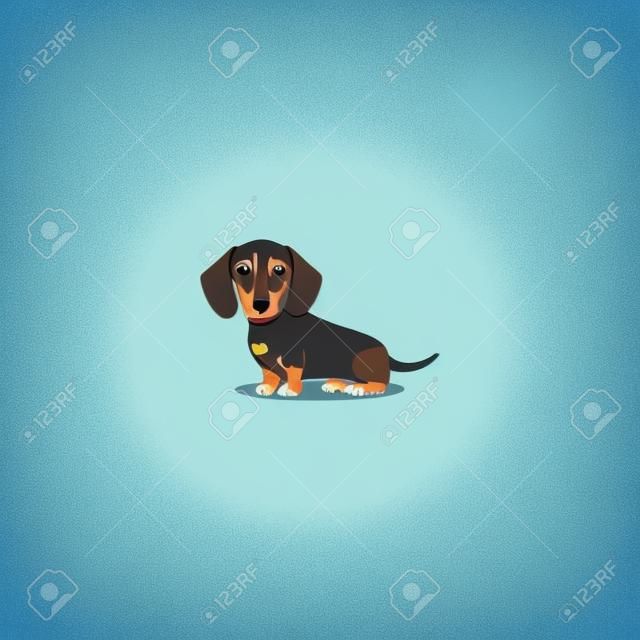 Cute dachshund dog sitting cartoon, vector illustration