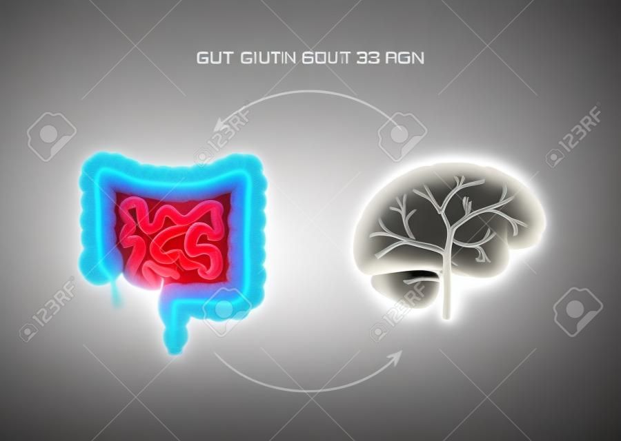 脳腸相関3D