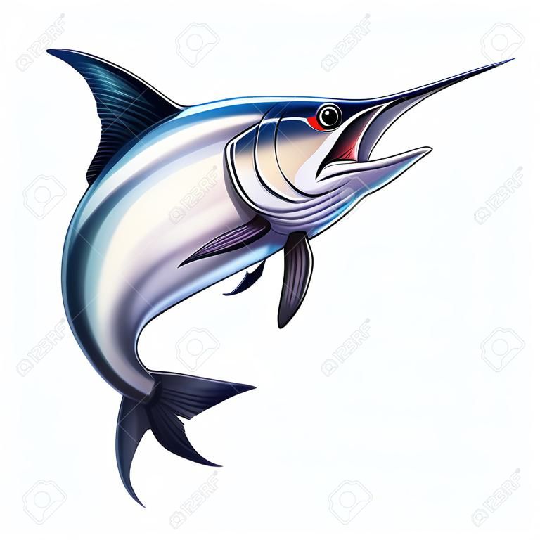 Fish sword on a white background. Marlin jumps out of the water. Fishing on the open sea is big marlin fish sword.