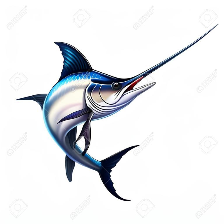 Fish sword on a white background. Marlin jumps out of the water. Fishing on the open sea is big marlin fish sword.