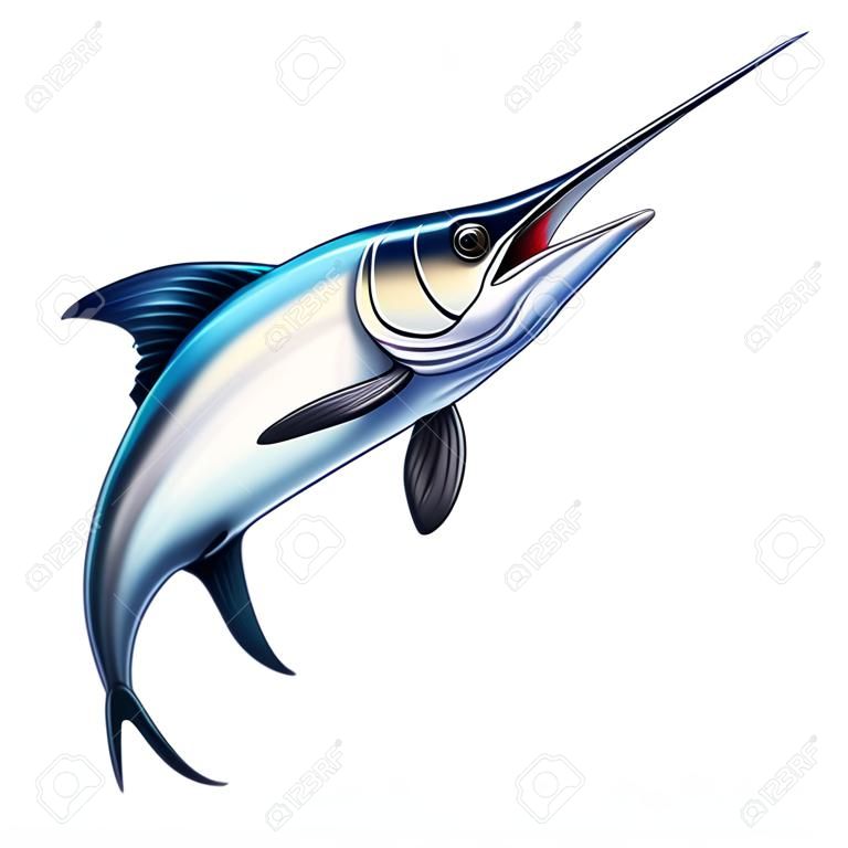 Vis zwaard op een witte achtergrond. Marlin springt uit het water. Vissen op de open zee is groot marlijn vis zwaard.