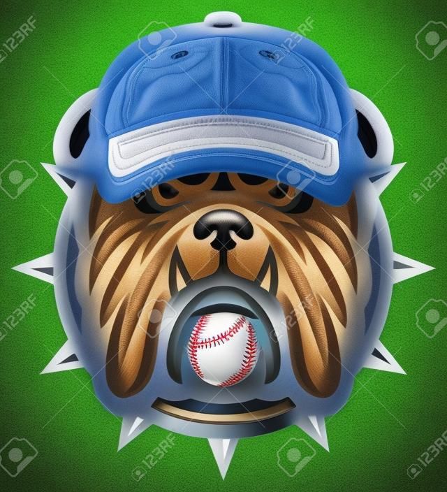 tête de chien et casquette de baseball