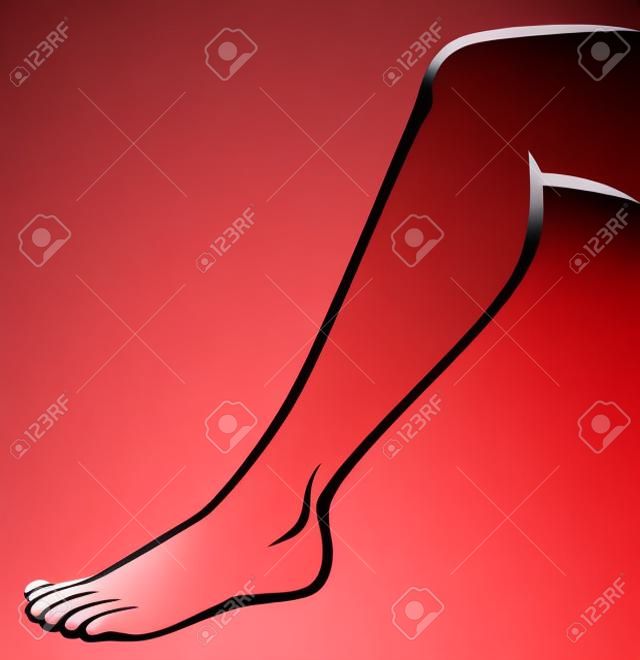 woman feet  woman leg 