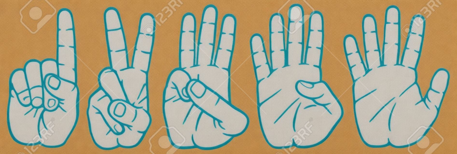 parmak sayma sayma el işaretinin 1-2-3-4-5 seti eller sinyallerini, elleri ve sayılar, set