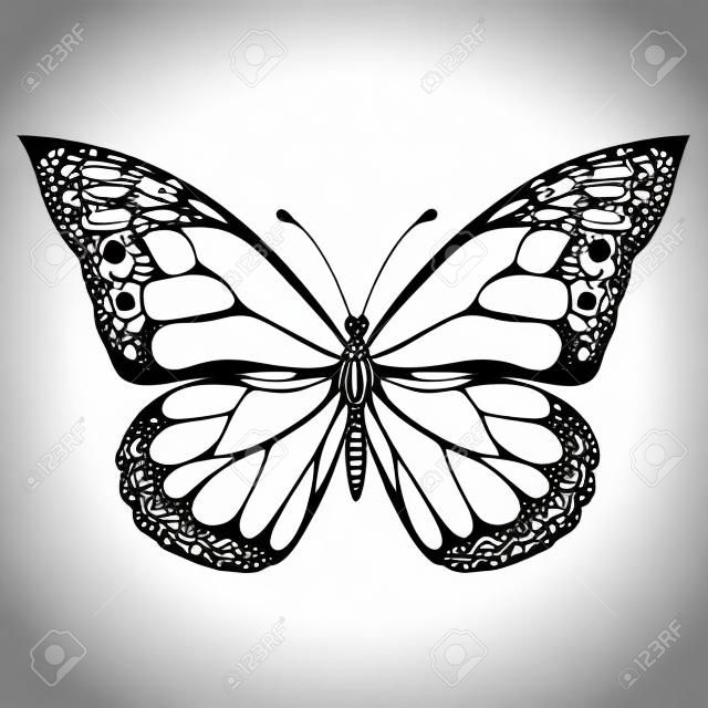 Butterfly, monochrome, coloring book, black and white illustration, hand-drawing, tattoo sketch. Exotic patterned Insect, decorative element, print. Vector illustration