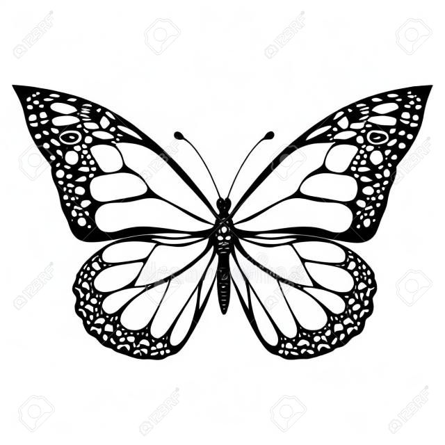 Butterfly, monochrome, coloring book, black and white illustration, hand-drawing, tattoo sketch. Exotic patterned Insect, decorative element, print. Vector illustration