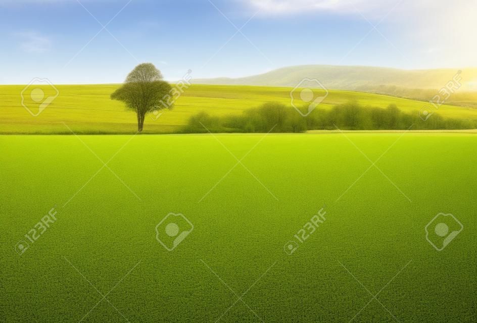 Paesaggio dei campi pronti per la coltivazione, gli alberi e colline sullo sfondo