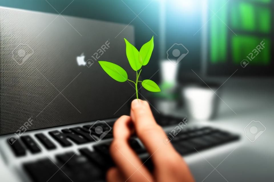 Laptop keyboard with plant growing on it. Green IT computing concept. Carbon efficient technology. Digital sustainability