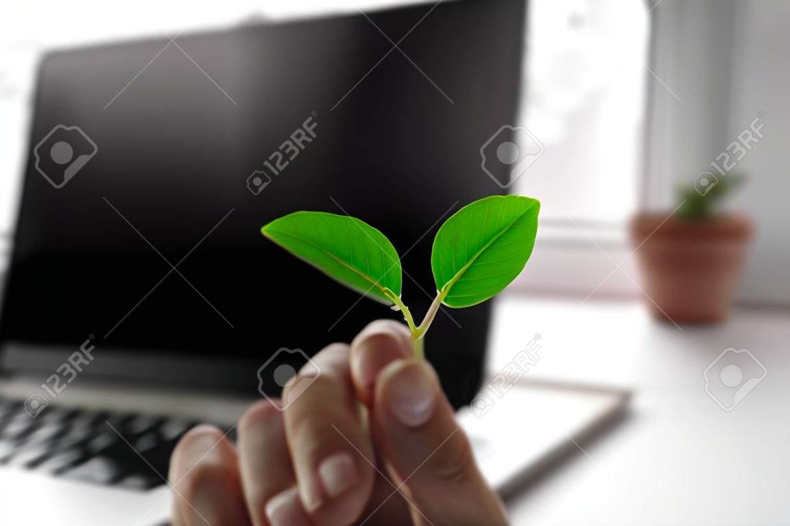 Klawiatura laptopa z rosnącą na niej rośliną, zielona koncepcja obliczeniowa, technologia wydajna pod względem emisji dwutlenku węgla, cyfrowy zrównoważony rozwój