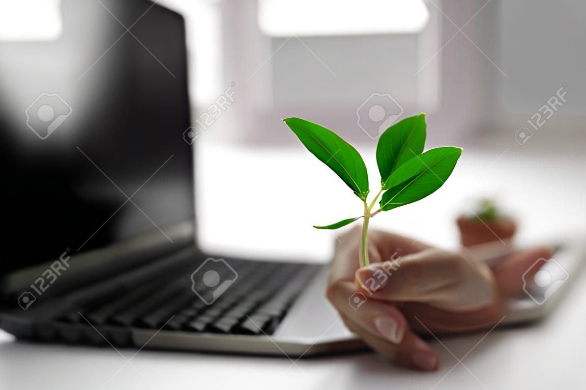 Teclado portátil con planta creciendo en él. Concepto de computación de TI verde. Tecnología eficiente en carbono. Sostenibilidad digital