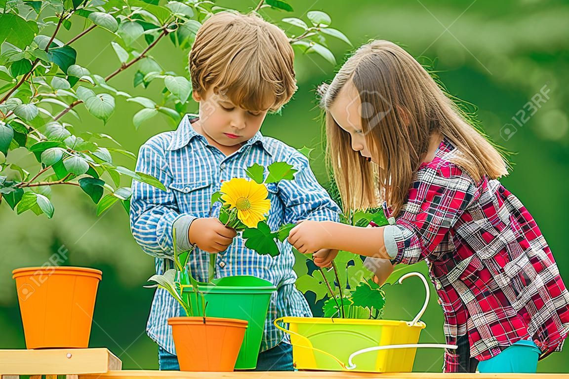 Brother and sister grows flowers together. Children enjoy in farm. Happy little farmers having fun on field. Planting flowers. Kids portrait on farmland