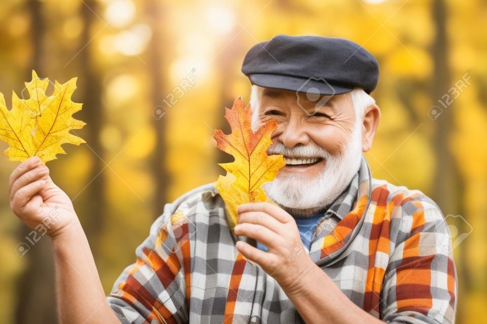 Senior man on a walk in a forest in an autumn nature holding leaves. Senior man walking in the park in autumn. Smiling senior man holding yellow autumn leaves at park.