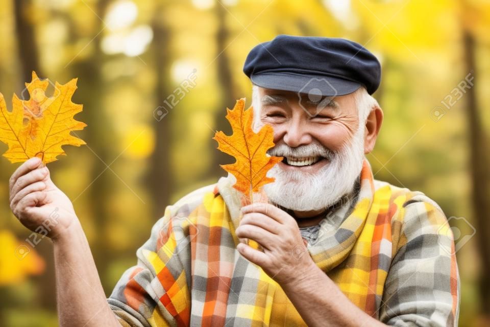 Senior man on a walk in a forest in an autumn nature holding leaves. Senior man walking in the park in autumn. Smiling senior man holding yellow autumn leaves at park.