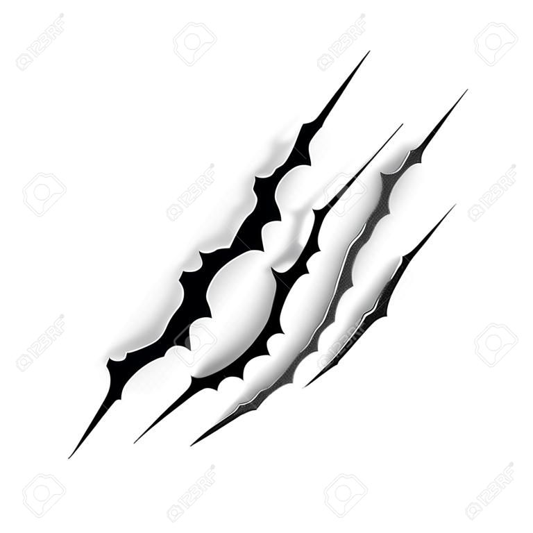 Claws scratches - vector isolated on transparent background.  Vector bear or tiger paw claw scratch trace. Shredded paper.