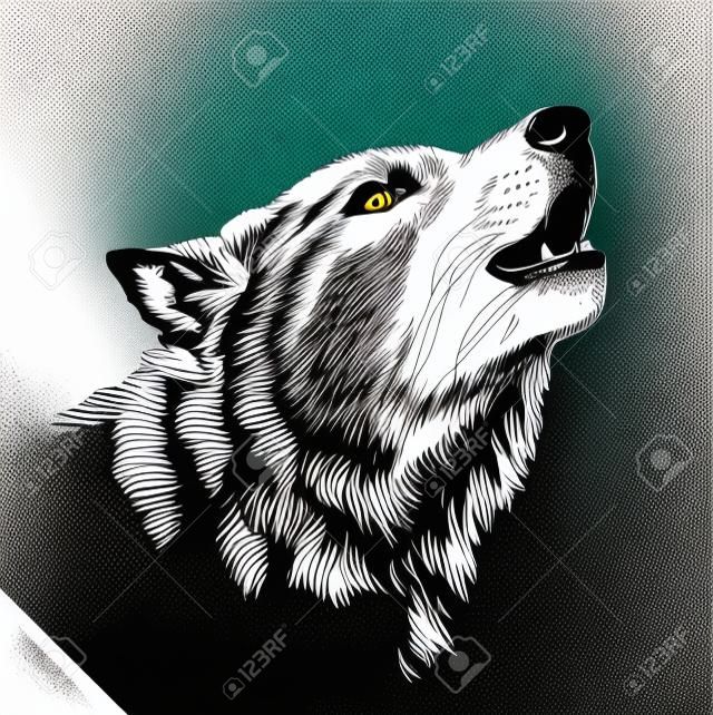 vecteur graver encre noir et blanc dessiner loup isolé