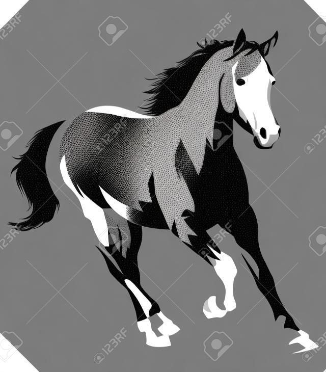 черно-белый линейный дро лошадь векторные иллюстрации