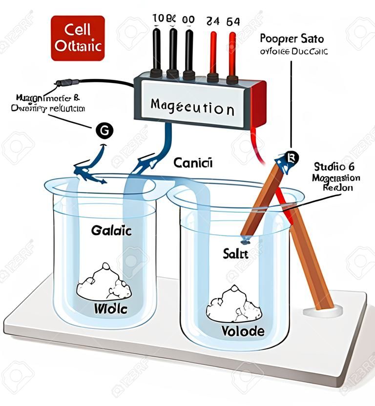 Voltaic Galvanic Cell con metallo di rame e anodico di magnesium a ponte di sale del voltmetro e processo di ossidazione e diagramma di riduzione per la scienza della fisica e della chimica