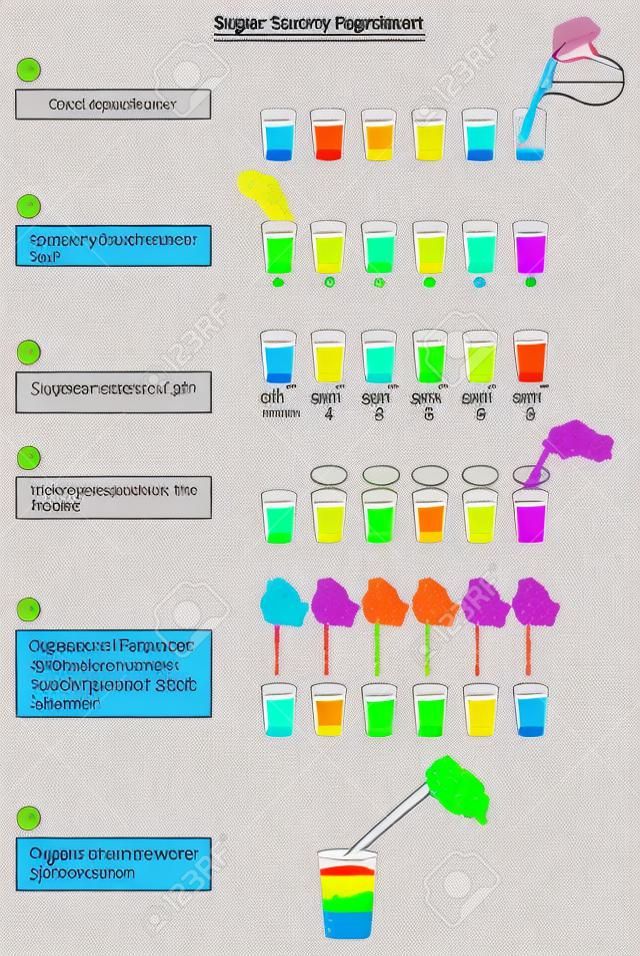 Sugar Rainbow Experiment infographic diagram showing density differences in a colorful stalk of sugar water samples in lab for chemistry and physics science lab education