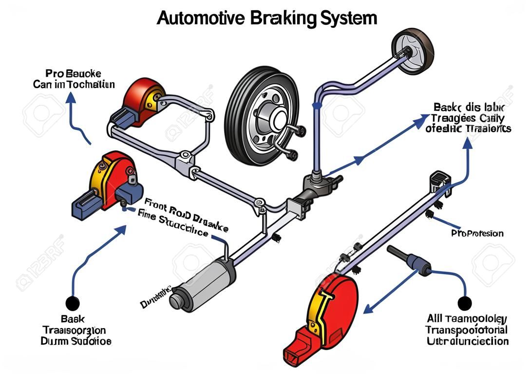 Automotive Braking System infographic diagram showing front disk and back drum brakes and how it works in a car with structure and all part for transportation technology road traffic science education