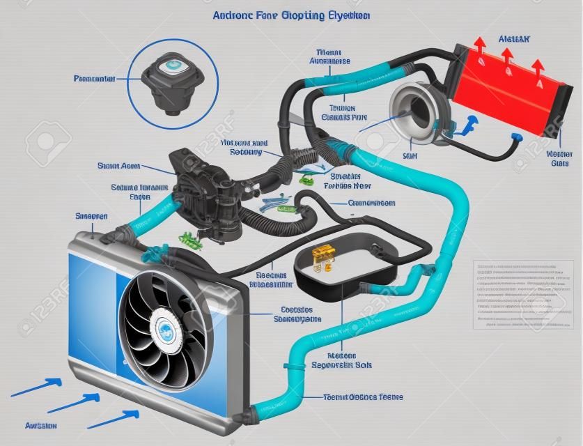 Automotive Cooling System infographic diagram showing process and all parts included radiator hoses coolant flow thermostat fan tank and air flow for mechanic and road traffic safety science education
