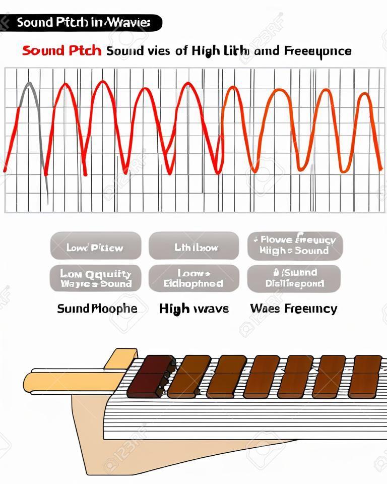 Diagrama infográfico de tono de sonido que muestra la comparación de ondas de sonido de alta y baja frecuencia, también ejemplo de xilófono donde las barras grandes producen un tono de sonido bajo para la educación en ciencias físicas