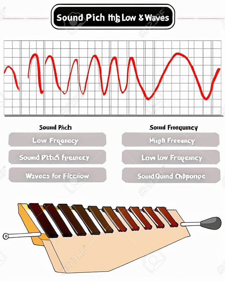 Diagramma infografico dell'altezza del suono che mostra il confronto delle onde sonore ad alta e bassa frequenza anche un esempio di xilofono in cui grandi barre producono un'altezza sonora bassa per l'educazione alla scienza della fisica