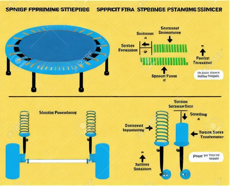 Spring Force Infographic Diagram voorbeeld van trampoline en voertuig schokdemper tonen de veer in evenwicht wanneer geforceerde afstand constante elasticiteit actie formule natuurkunde onderwijs vector