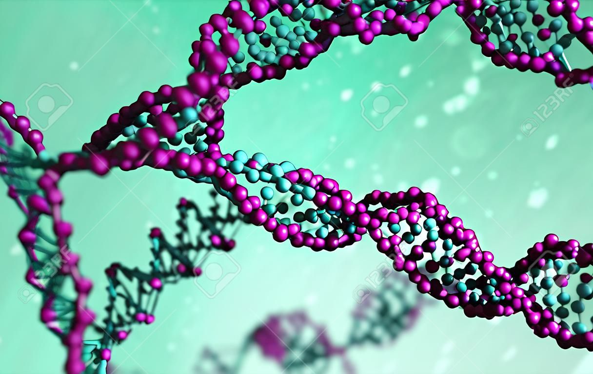 DNA-Molekülmodell, DNA-Stränge, DNA-Animation