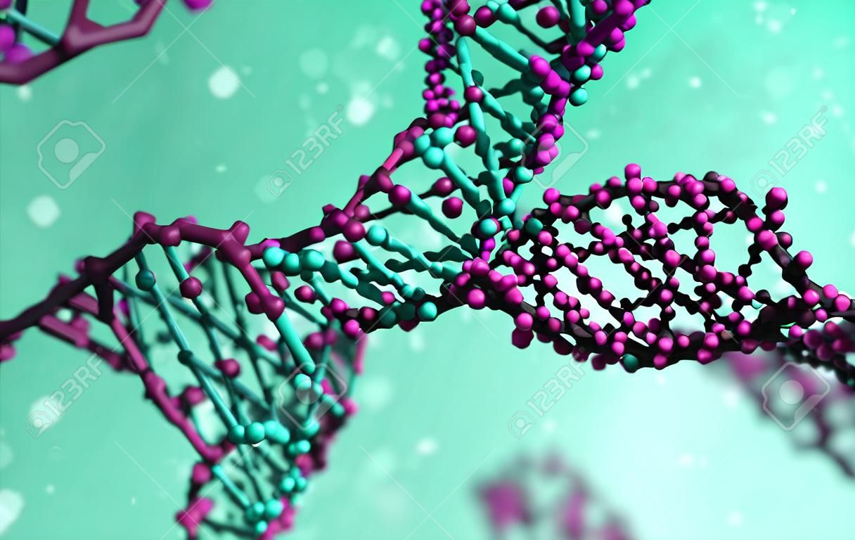 DNA-Molekülmodell, DNA-Stränge, DNA-Animation