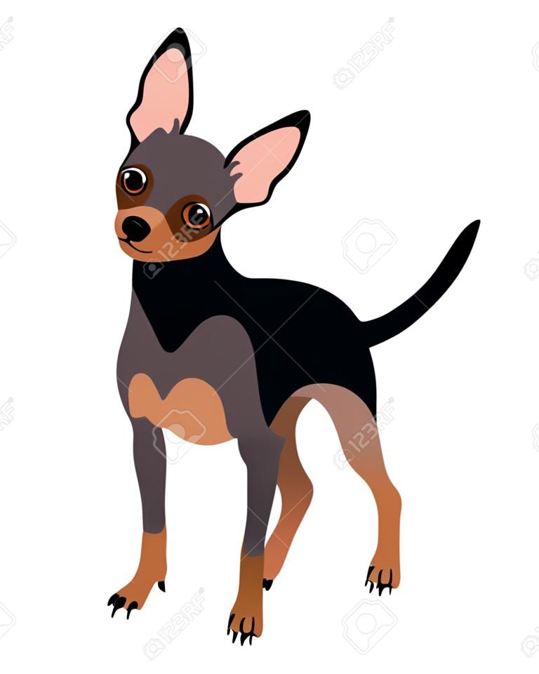 Russisch speelgoed terriër ras kortharige hond. vector illustratie.
