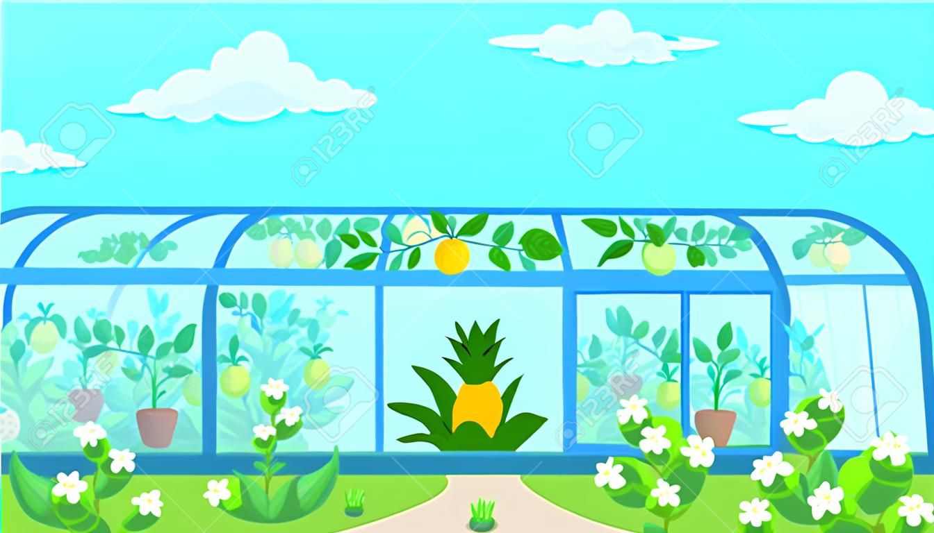 Illustrazione di coltivazione di frutta tropicale in serra. Vivaio di fiori. Giardino botanico dei cartoni animati. Alberi di limone e ananas in una piccola serra. Nuvole nel cielo blu. Raccolto esotico stagionale
