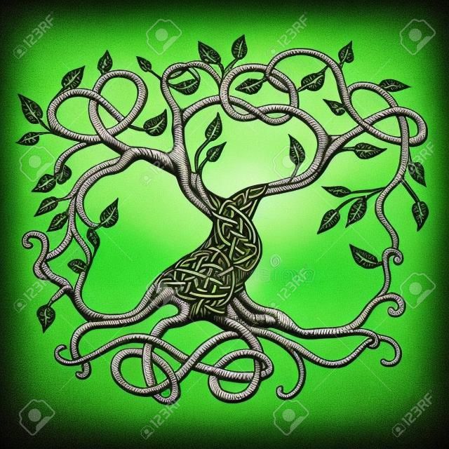 凯尔特人的生命之树Yggdrasil的插图