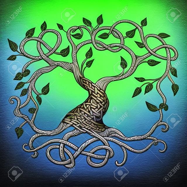 Celtic Tree Of Life, Illustration Of Yggdrasil Royalty Free SVG, Cliparts,  Vectors, and Stock Illustration. Image 43153230.
