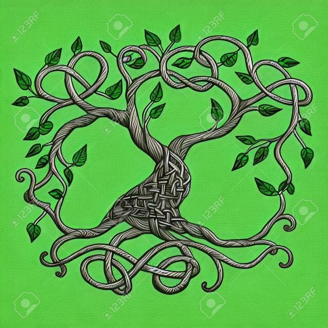 凯尔特人的生命之树Yggdrasil的插图