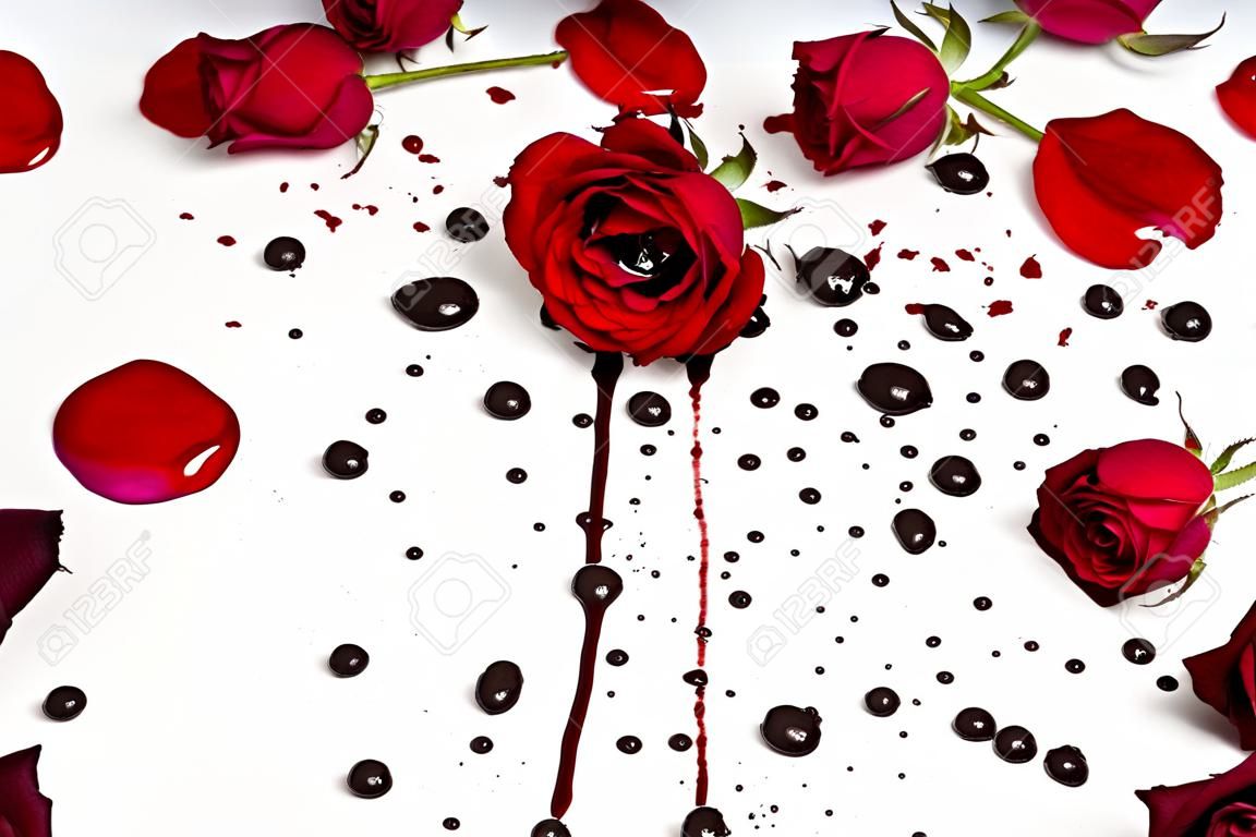 Escena dramática con rosas de color rojo oscuro con gotas de sangre sobre un fondo blanco. Lay Flat gótico. Vista superior