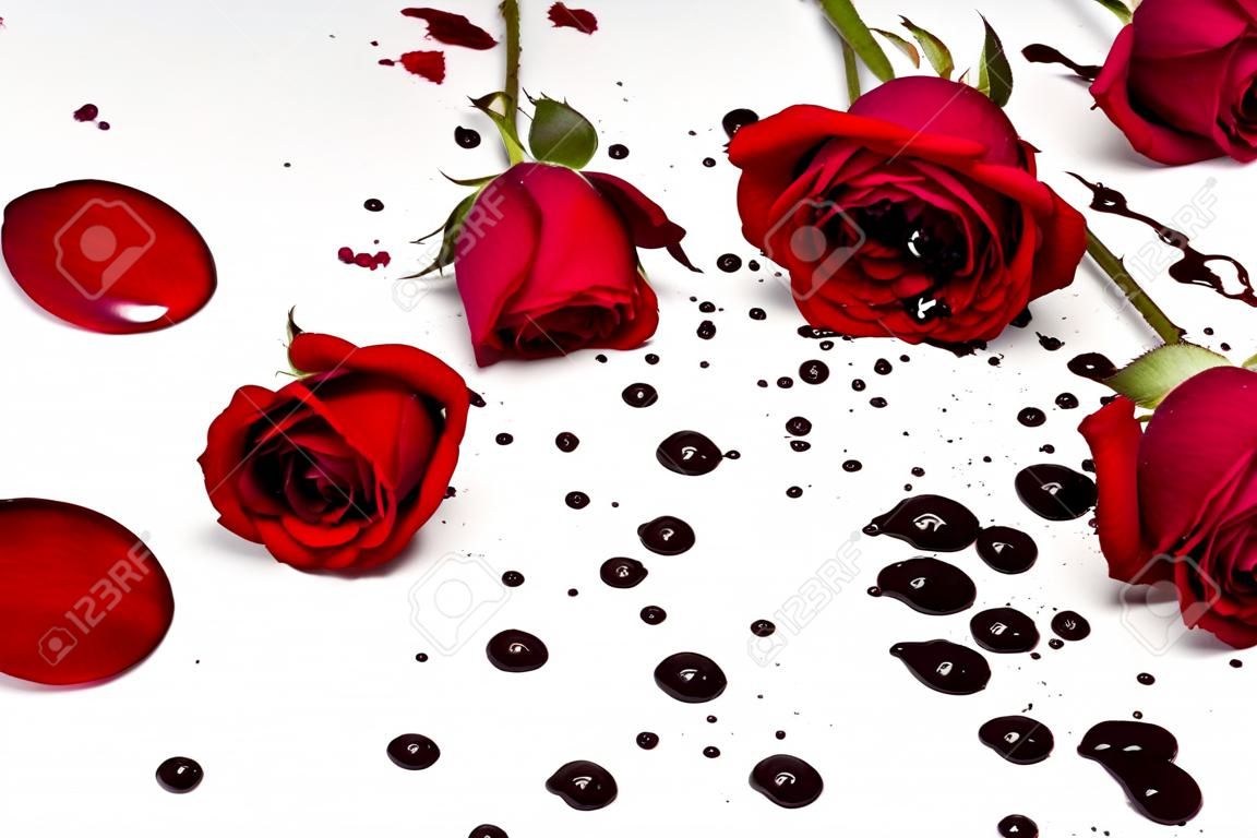 Dramatic scene with dark red roses with blood drops on a white background. Gothic flat lay. Top view